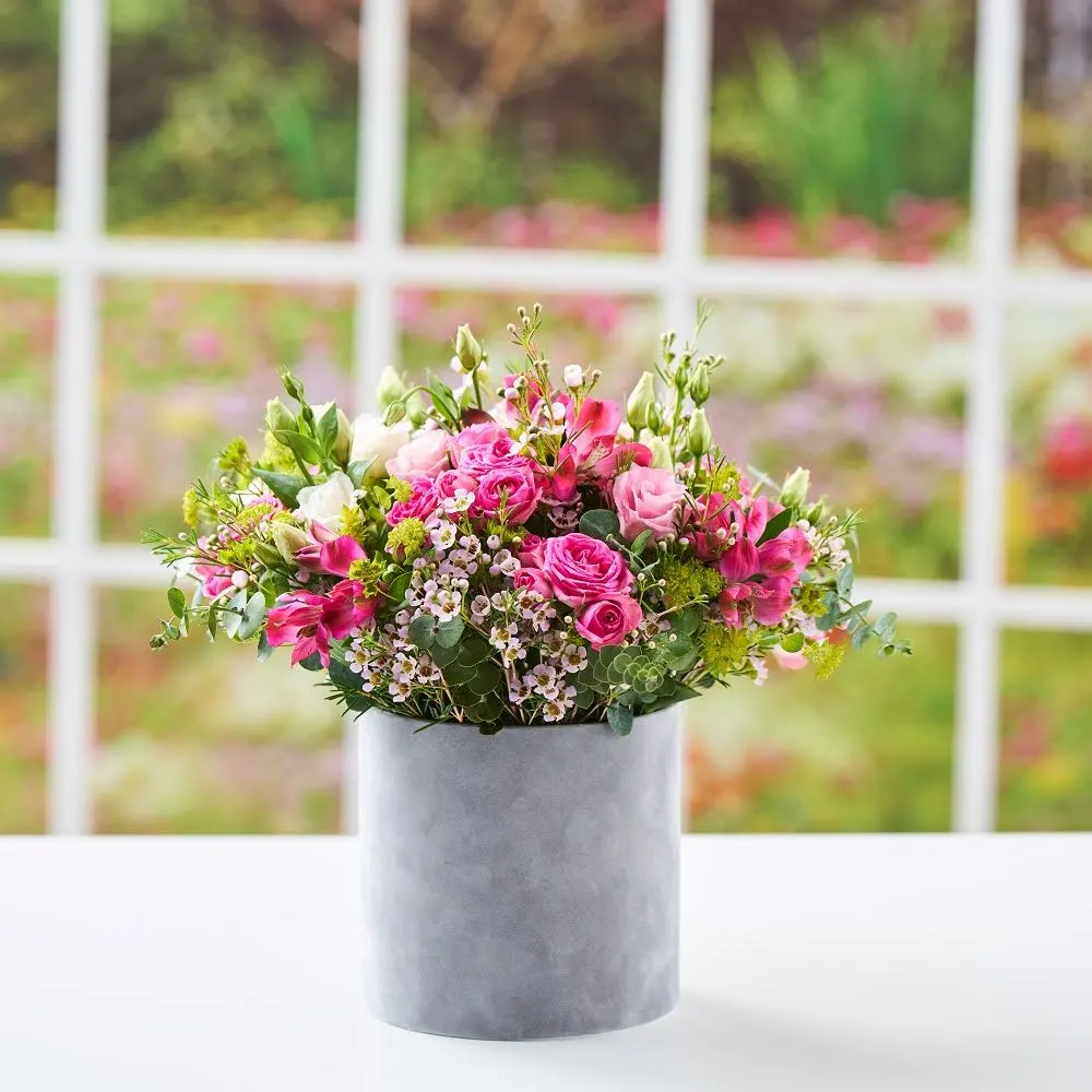 geles dezuteje i namus vilniuje