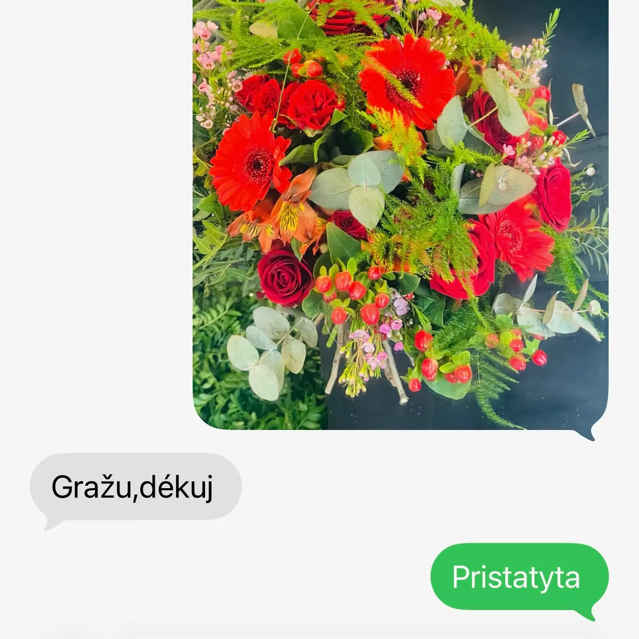 Kliento SMS atsiliepimas 9